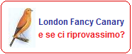 Vai all'articolo