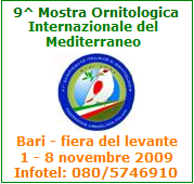 8^ Mostra Ornitologica Internazionale del Mediterraneo
Bari, 2 - 9 novembre 2008