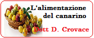 Vai all'articolo