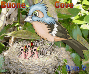 Buone Cove