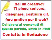 Collabora con noi!