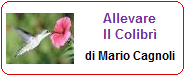 Vai all'articolo