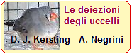 Vai all'articolo
