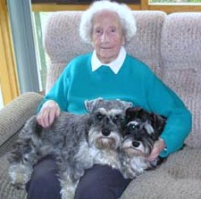 Gli animali familiari salutari compagni dell'anziano.
