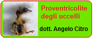 Vai all'articolo