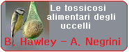 Vai all'articolo