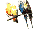 PetShop