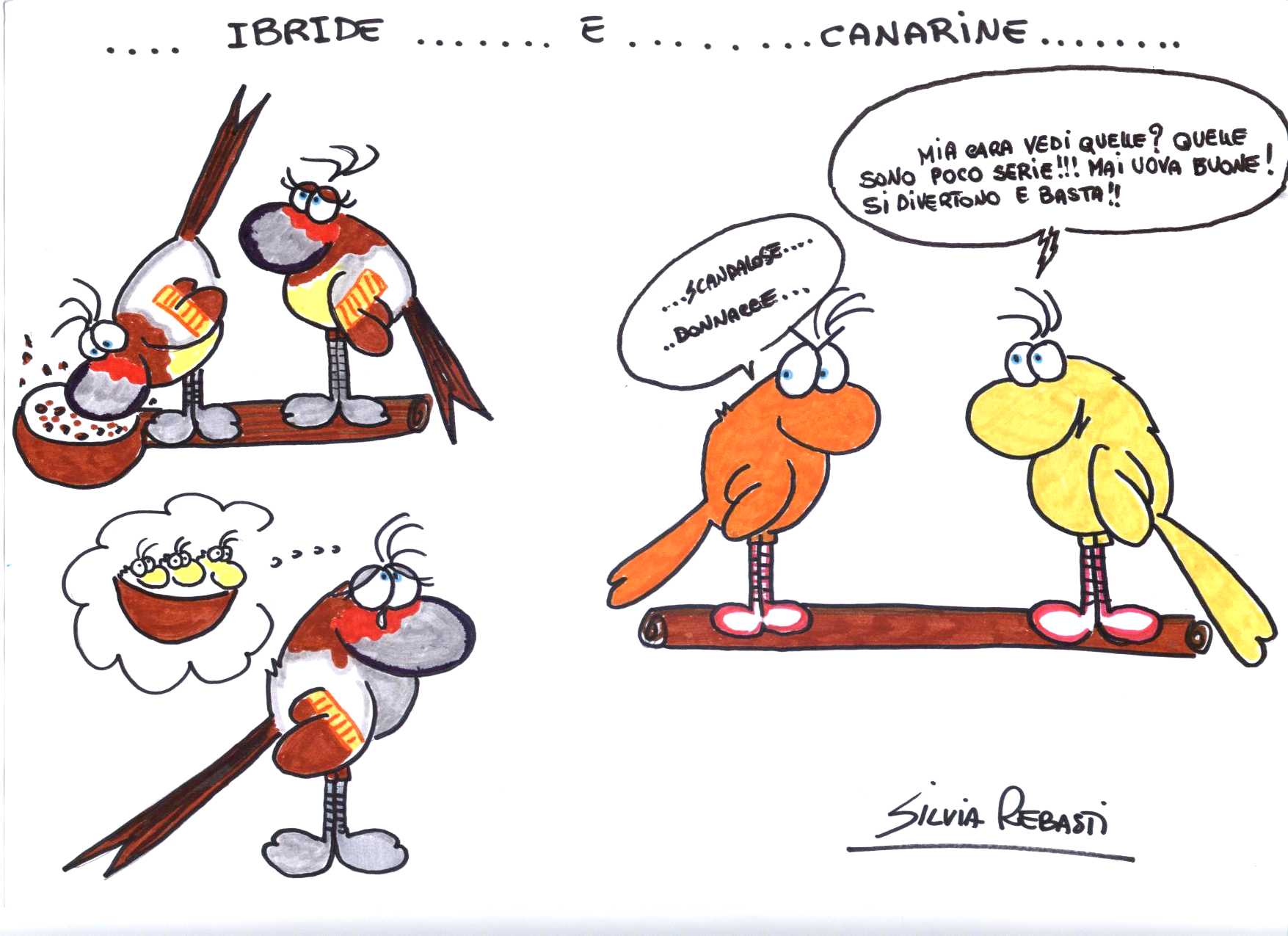 Ingrandisci la vignetta