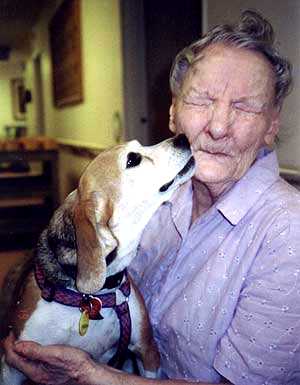 Il cane inseparabile compagno dell'anziano