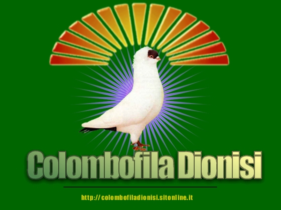 Colombofila Dionisi