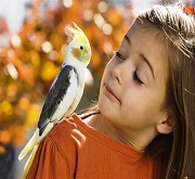 Pet Therapy