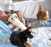 Guarire grazie agli animali