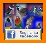 Il Portale Italiano dell'Ornitofilia V&A - Facebook FanClub