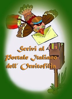 Scrivici