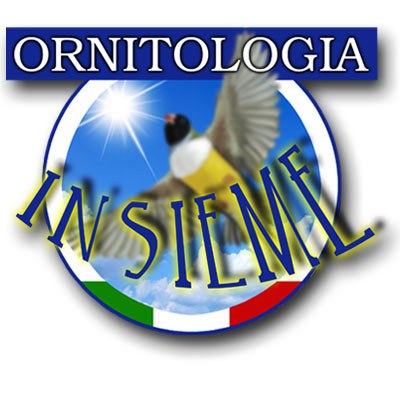 Logo Lista Ornitologia Insieme - immagine dalla rete