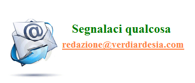 Segnala qualcosa in redazione