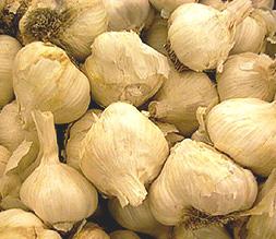 Bulbi d'aglio