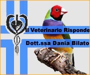 Il Portale Italiano dell'Ornitofilia Rubrica Veterinaria dott.ssa Dania Bilato