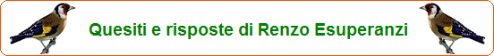Indice quesiti IEI Esuperanzi