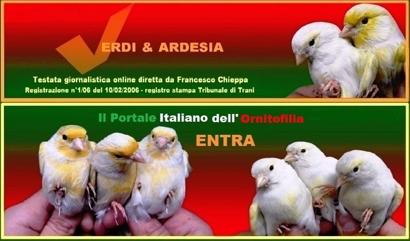 ENTRA IN PORTALE